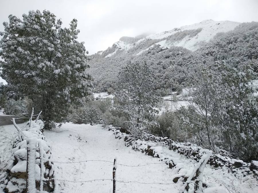 La ola de frío ha llegado a Asturias y ha cubierto las zonas de alta montaña de la región de blanco con las primeras nevadas