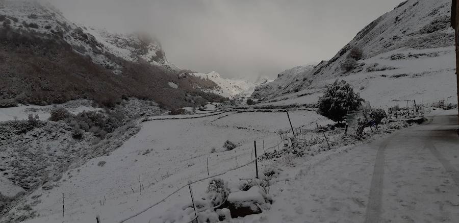 La ola de frío ha llegado a Asturias y ha cubierto las zonas de alta montaña de la región de blanco con las primeras nevadas