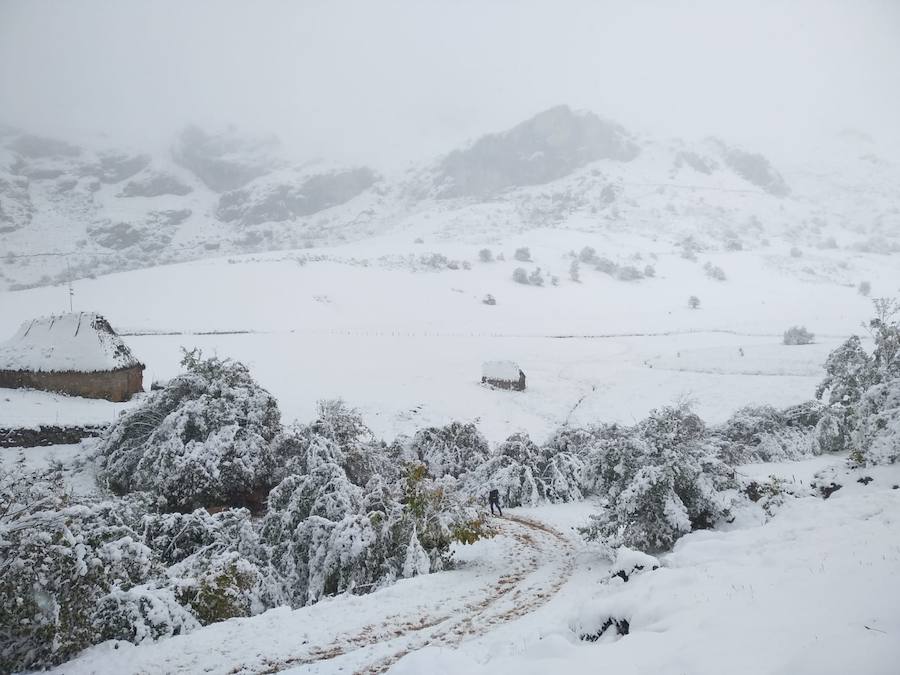 La ola de frío ha llegado a Asturias y ha cubierto las zonas de alta montaña de la región de blanco con las primeras nevadas