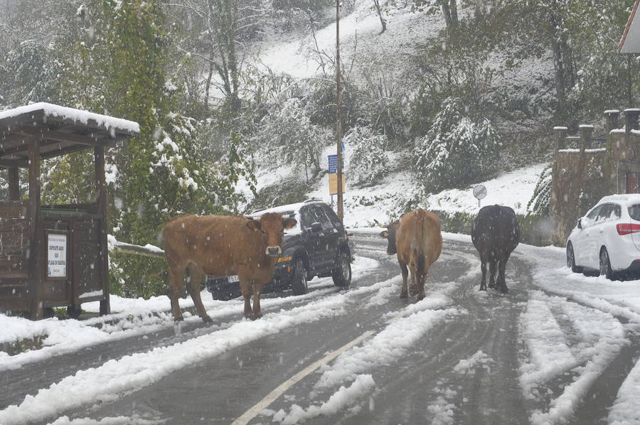 Los concejos del oriente asturiano llucen un manto blanco