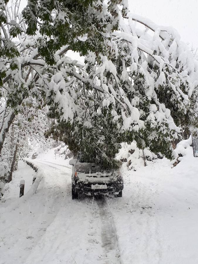 Los concejos del oriente asturiano llucen un manto blanco