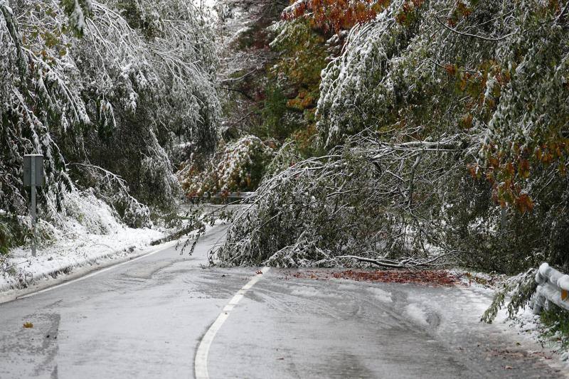 Los concejos del oriente asturiano llucen un manto blanco