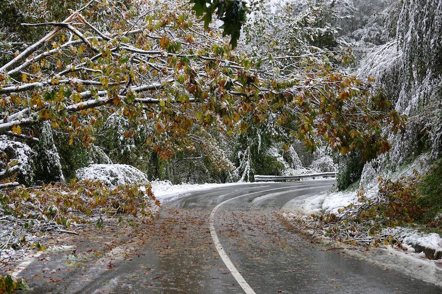 El temporal se ha recrudecido y además de complicar la comunicación con la Meseta, ha ocasionado numerosas incidencias. La nieve ha cubierto muchos puntos de la región dejando estampas totalmente invernales