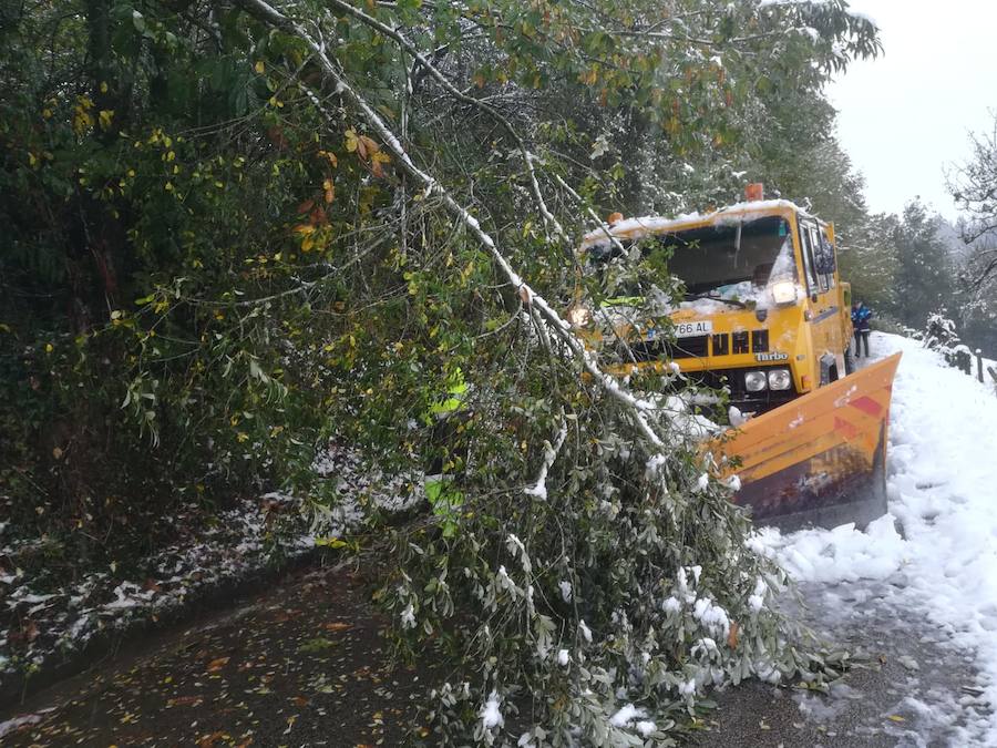 El temporal se ha recrudecido y además de complicar la comunicación con la Meseta, ha ocasionado numerosas incidencias. La nieve ha cubierto muchos puntos de la región dejando estampas totalmente invernales