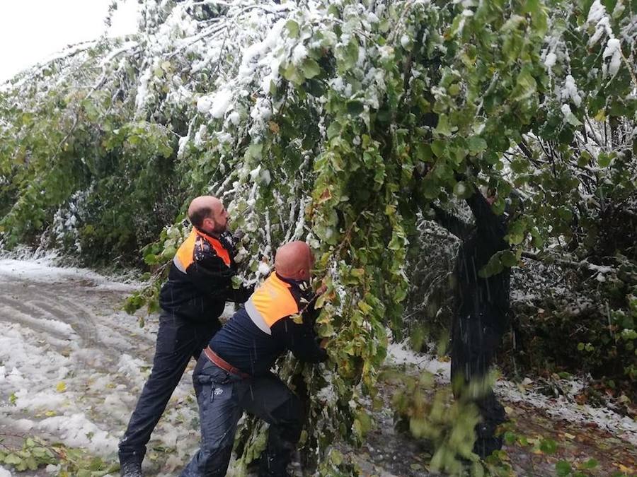 El temporal se ha recrudecido y además de complicar la comunicación con la Meseta, ha ocasionado numerosas incidencias. La nieve ha cubierto muchos puntos de la región dejando estampas totalmente invernales