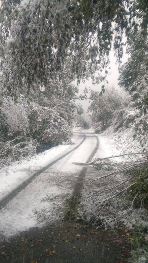 El temporal se ha recrudecido y además de complicar la comunicación con la Meseta, ha ocasionado numerosas incidencias. La nieve ha cubierto muchos puntos de la región dejando estampas totalmente invernales
