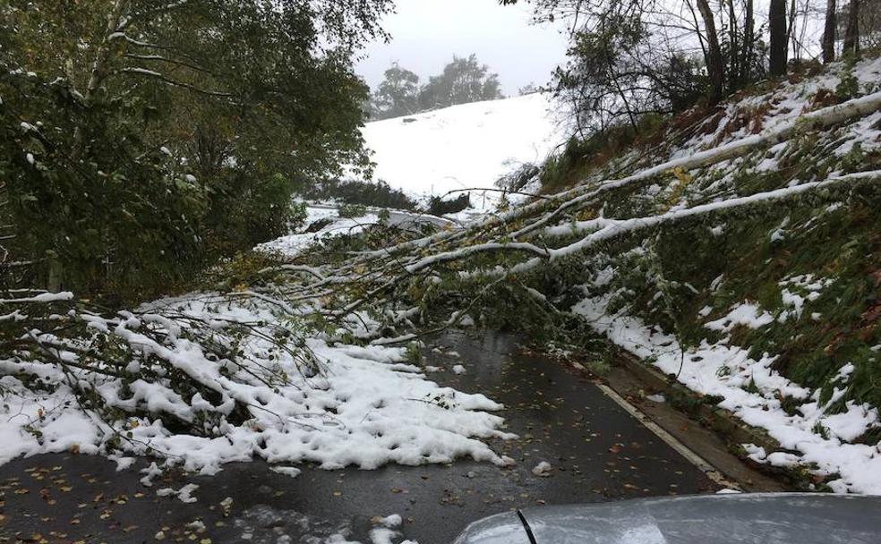 Los efectivos de la UME ya están en Degaña.