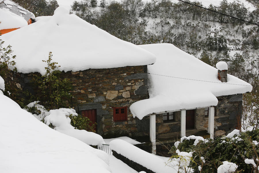 La nieve ha causado estragos en numerosos puntos de Asturias que han necesitado de la ayuda de la Unidad Militar de Emergencias para contrarrestar estos efectos 