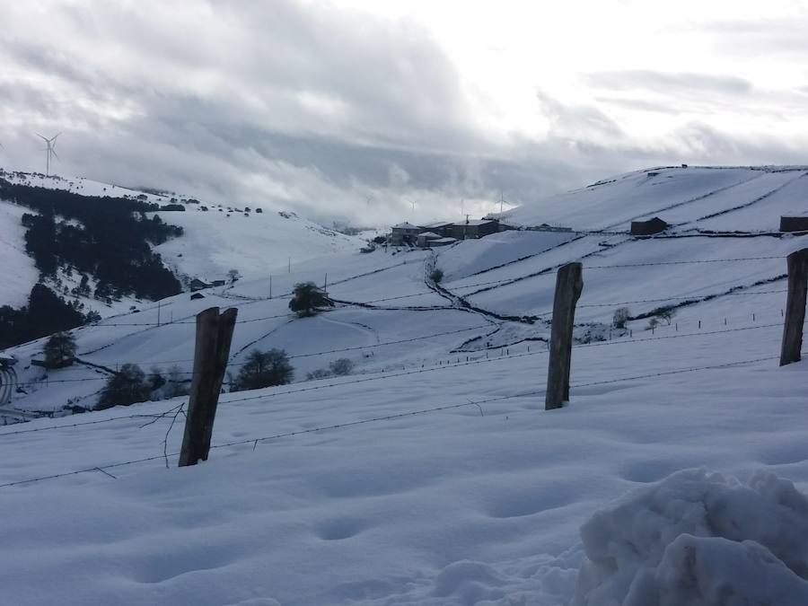 Los cortes de sumninistro eléctrico afectaron a numerosos usuarios y un total de 1.300 alumnos de Degaña, Allande, Cangas del Narcea e Ibias no tendrán clase este lunes.