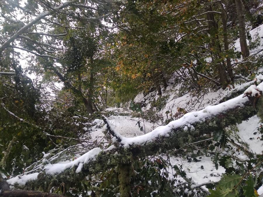 En líneas generales, la semana vendrá protagonizada por más inestabilidad hacia el oeste y menos probabilidad de lluvias hacia el oriente. Las temperaturas serán más altas y la cota de nieve será superior a los 1200/1400 metros