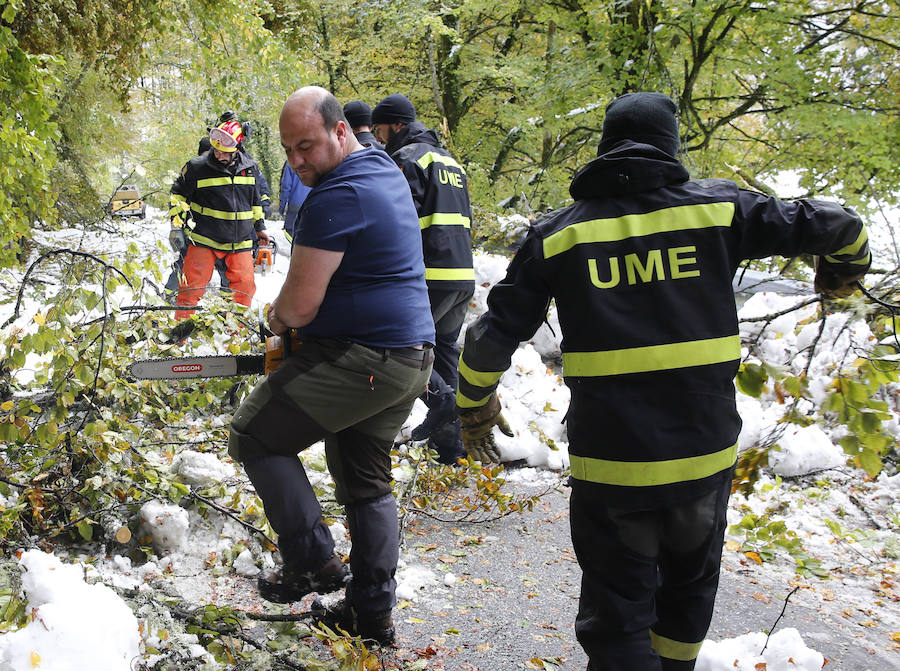 El Principado pide la ayuda de la Unidad Militar de Emergencias para hacer frente a las nevadas. 107 efectivos y 22 vehículos militares trabajan en la retirada de árboles caídos y en la apertura de carreteras en zonas del occidente. Esta mañana han rescatado, además, a una persona en Taladrid, en Ibias