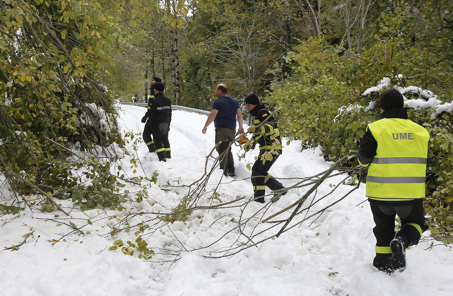 El Principado pide la ayuda de la Unidad Militar de Emergencias para hacer frente a las nevadas. 107 efectivos y 22 vehículos militares trabajan en la retirada de árboles caídos y en la apertura de carreteras en zonas del occidente. Esta mañana han rescatado, además, a una persona en Taladrid, en Ibias