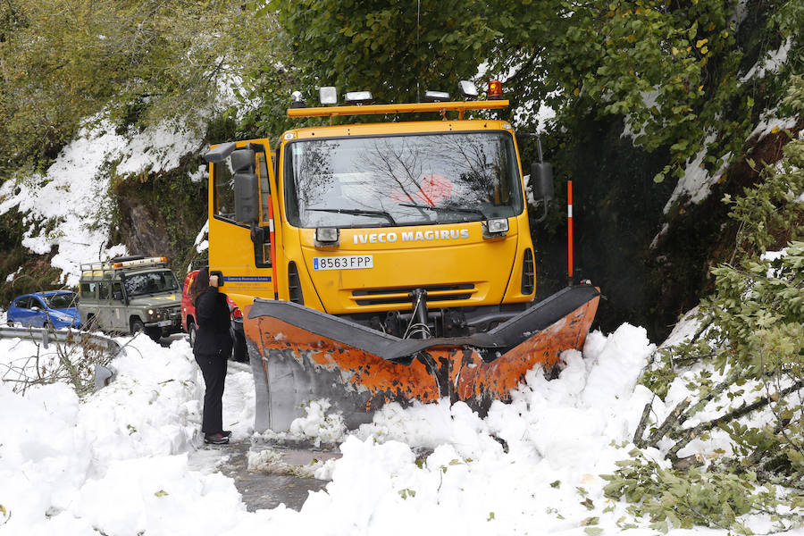 El Principado pide la ayuda de la Unidad Militar de Emergencias para hacer frente a las nevadas. 107 efectivos y 22 vehículos militares trabajan en la retirada de árboles caídos y en la apertura de carreteras en zonas del occidente. Esta mañana han rescatado, además, a una persona en Taladrid, en Ibias