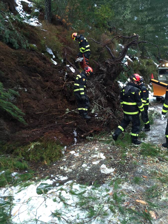 El Principado pide la ayuda de la Unidad Militar de Emergencias para hacer frente a las nevadas. 107 efectivos y 22 vehículos militares trabajan en la retirada de árboles caídos y en la apertura de carreteras en zonas del occidente