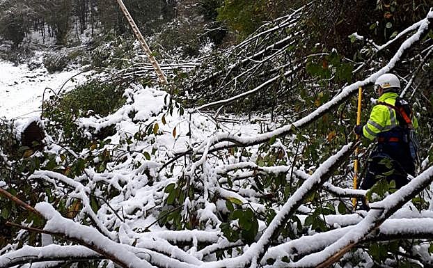 Las eléctricas se afanan en restablecer el suministro de luz a 7.500 usuarios