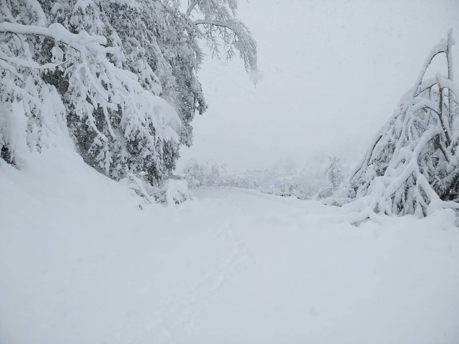 Este martes subirán las temperaturas con vientos de suroeste-oeste. Para mañana, esperamos un día, en líneas generales, muy similar al de hoy