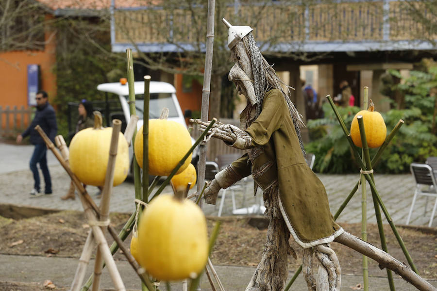 Por séptimo año consecutivo, el Jardín Botánico de Gijón ha acogido las jornadas dedicadas a las calabazas y a las tradiciones relacionadas con el Día de los Difuntos