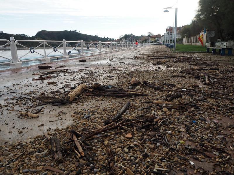 El viento y el fuerte oleaje marcan las útimas horas en Asturias. Árboles caídos o acumulación de residuos en las playas son algunos de los efectos de este temporal, que también deja bellas imágenes como el espectáculo de los bufones. 