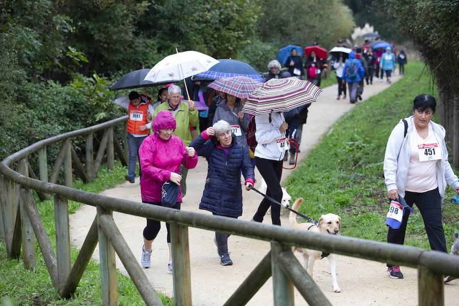 Fotos: ¿Estuviste en la VI Marcha Gijón Solidario? ¡Búscate!