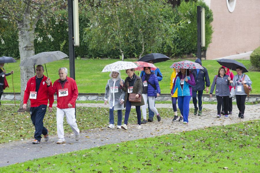 Fotos: ¿Estuviste en la VI Marcha Gijón Solidario? ¡Búscate!