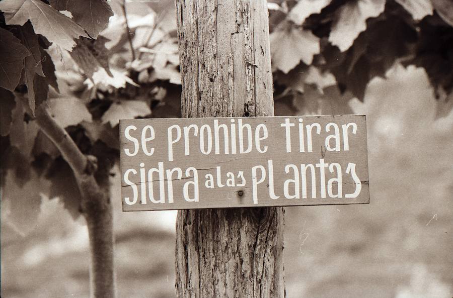 La familia del fotoperiodista, que retrató con su cámara la realidad de la región desde los años 40 hasta poco antes de su muerte en 2012, ha donado unas 200.000 imágenes a el Museo del Pueblo de Asturias