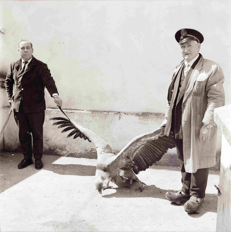 La familia del fotoperiodista, que retrató con su cámara la realidad de la región desde los años 40 hasta poco antes de su muerte en 2012, ha donado unas 200.000 imágenes a el Museo del Pueblo de Asturias