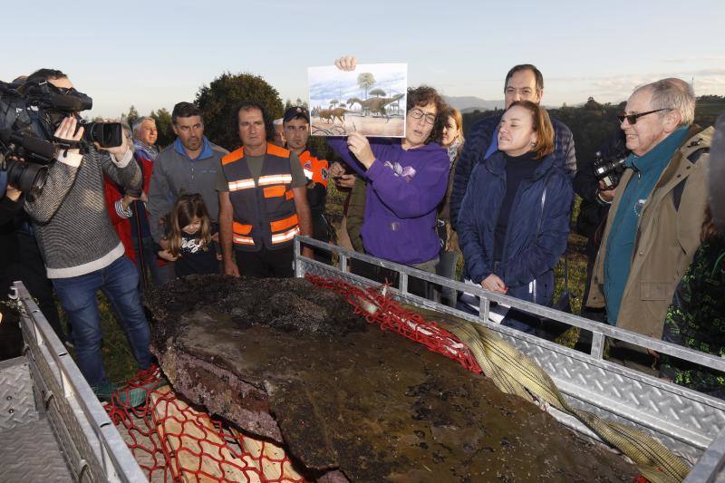 El equipo científico del Museo del Jurásico de Asturias (MUJA) ha recuperado hoy una huella de terópodo, un dinosaurio bípedo y carnívoro, de los acantilados de Tazones, en Villaviciosa, con la ayuda del helicóptero de Bomberos del Servicio de Emergencias del Principado de Asturias (SEPA)