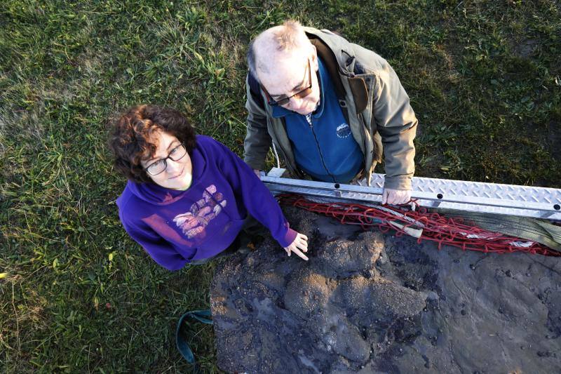 El equipo científico del Museo del Jurásico de Asturias (MUJA) ha recuperado hoy una huella de terópodo, un dinosaurio bípedo y carnívoro, de los acantilados de Tazones, en Villaviciosa, con la ayuda del helicóptero de Bomberos del Servicio de Emergencias del Principado de Asturias (SEPA)