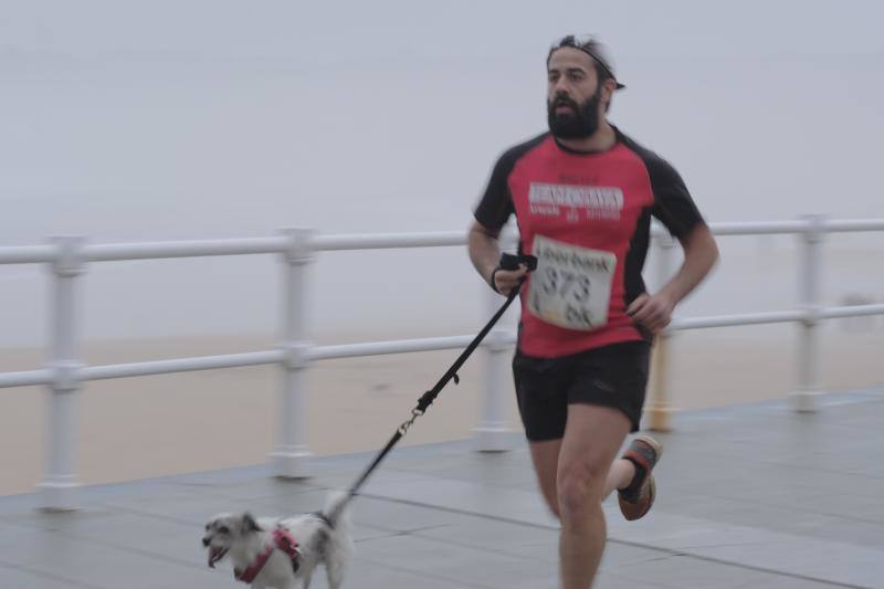 Más de 300 personas participan en la 19ª Carrera contra el SIDA en Gijón.