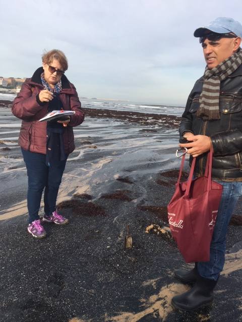 El pasado mes de abril, tras otro episodio de estas características, el Ayuntamiento de Gijón solicitó a la Universidad de Oviedo un estudio para determinar el origen de la mancha de carbón, aunque la mayoría de los expertos coinciden en apuntar como única causa el naufragio del carguero 'Castillo de Salas'.