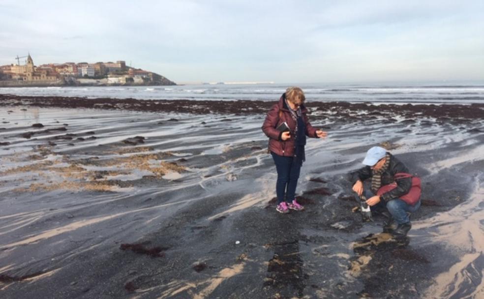 Los investigadores del Instituto del Carbón, Isabel Suárez-Ruiz y Dionisio Luis García, ayer, durante la recogida del sedimento para su análisis en el laboratorio. 