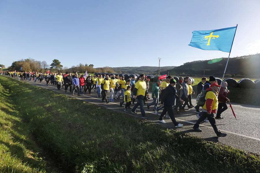 Los empleados de las plantas gallega y asturiana protagonizan una marcha desde las localidades de Castropol y Ribadeo en defensa del mantenimiento de la empresa.