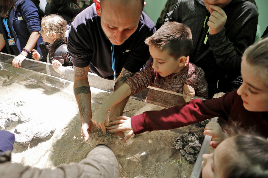 Hasta el 4 de enero, el recinto ferial de Gijón se dedica en cuerpo y alma al ocio y la diversión para los niños