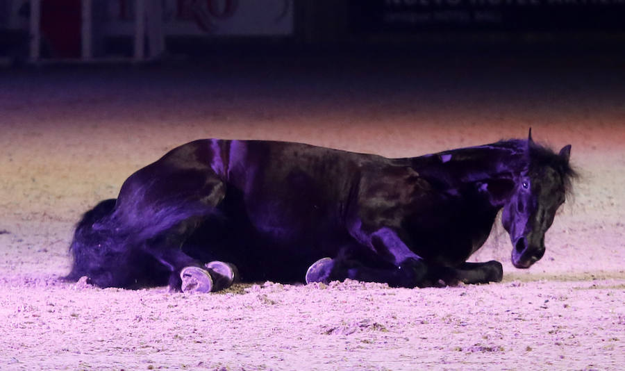 Santi Serra, especialista en doma clásica, hizo que el público se quedase con la boca abierta en la jornada inaugural del Concurso de Saltos Internacional Indoor.