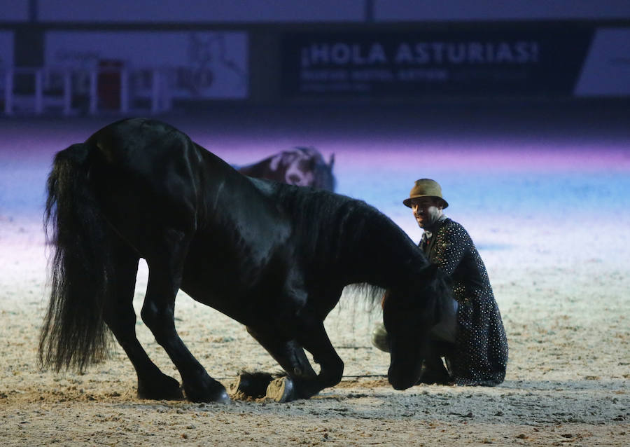 Santi Serra, especialista en doma clásica, hizo que el público se quedase con la boca abierta en la jornada inaugural del Concurso de Saltos Internacional Indoor.