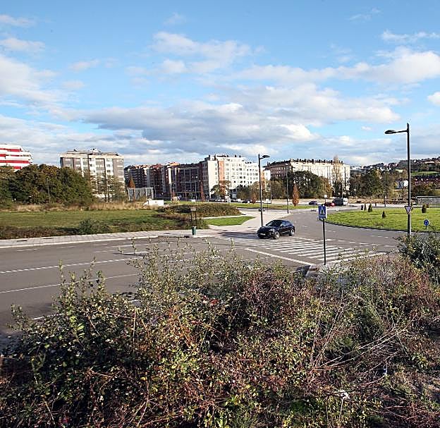 El fracaso del plan Las Campas-Paniceres ha dejado decenas de parcelas llenas de maleza. 