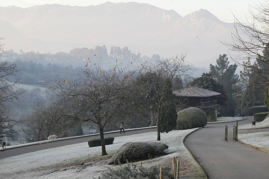 Las temperaturas bajo cero con las que la región lleva días amaneciendo muestran estampas sorprendentes que compensan la sensación de frío. 