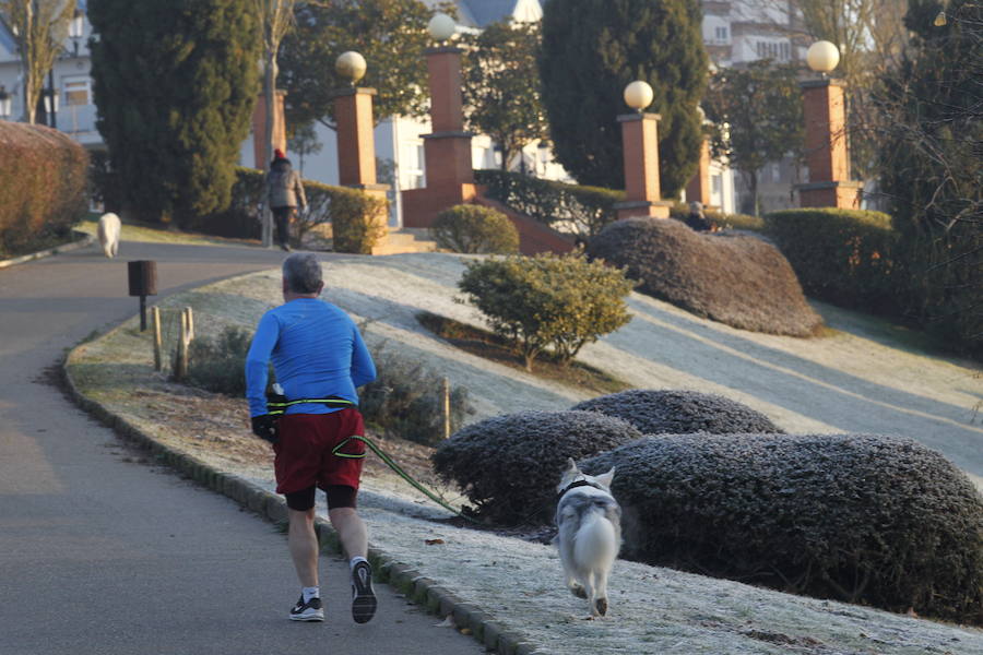 Las temperaturas bajo cero con las que la región lleva días amaneciendo muestran estampas sorprendentes que compensan la sensación de frío. 