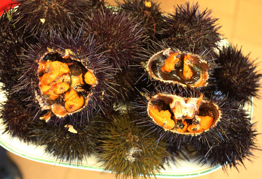 Los erizos de mar son un manjar muy consumido en Asturias y que puede degustar tanto crudos como ligeramente cocidos.