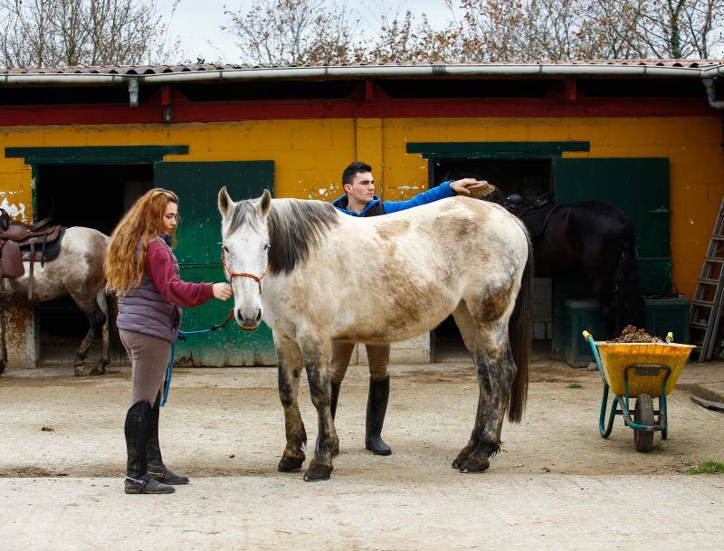 El concejo suma cinco escuelas y clubes de equitación con más de medio centenar de caballos. El cierre del Asturcón dispara la afición con una oferta de centros ecuestres que va desde lo puramente formativoa la cría de animales o la equitación terapéutica