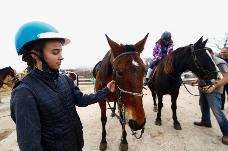 El concejo suma cinco escuelas y clubes de equitación con más de medio centenar de caballos. El cierre del Asturcón dispara la afición con una oferta de centros ecuestres que va desde lo puramente formativoa la cría de animales o la equitación terapéutica