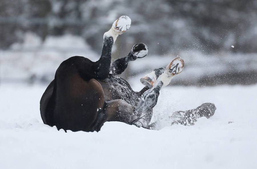 El temporal de nieve se ceba con el sur de Alemania y Austria. Cientos de vuelos han sido cancelados en Múnich y en Fráncfort, mientras se extienden las alertas por la previsión de nuevas precipitaciones en amplias zonas de Baviera.
