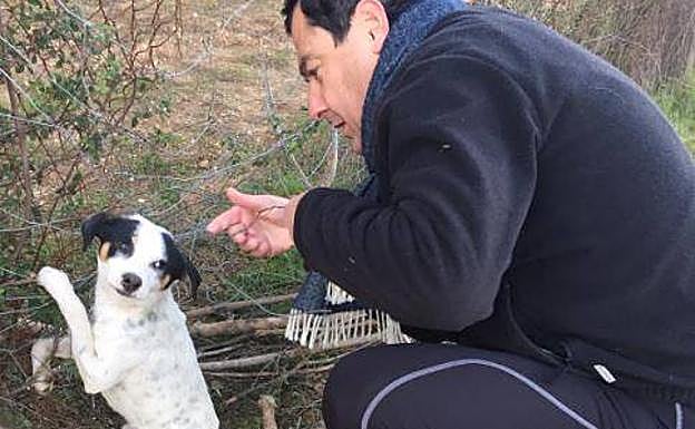 Pérez-Reverte: «Sería bueno que recordara a ese perrito cuando empiece a legislar para Andalucía»