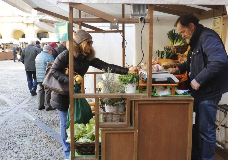 La Plaza Mayor de Gijón acogió, este domingo, el Mercado Ecológico y Artesano. Un evento que se ha consolidado como un referente artesanal, gastronómico y turístico de la villa. Ha sido declarado Fiesta de Interés Turístico del Principado de Asturias.