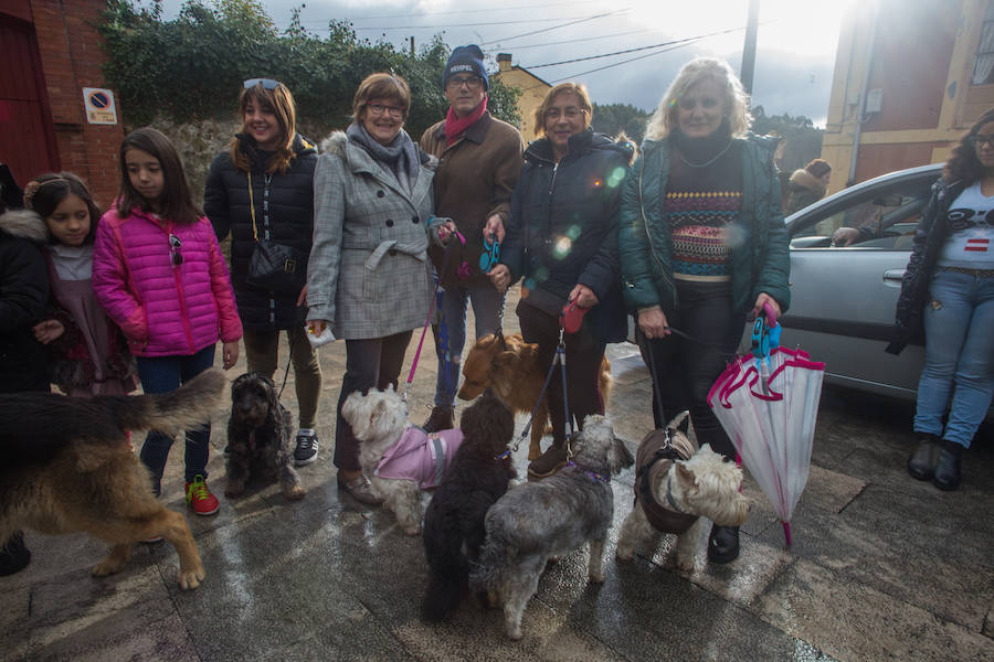 Fotos: Llaranes, La Magdalena y la ermita de Taborneda bendicen animales domésticos por San Antón