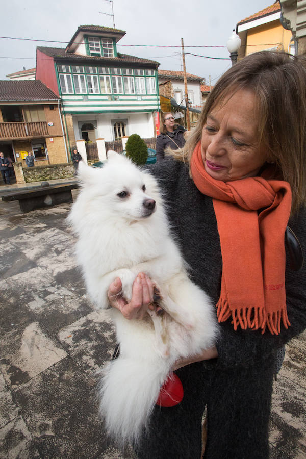 Fotos: Llaranes, La Magdalena y la ermita de Taborneda bendicen animales domésticos por San Antón