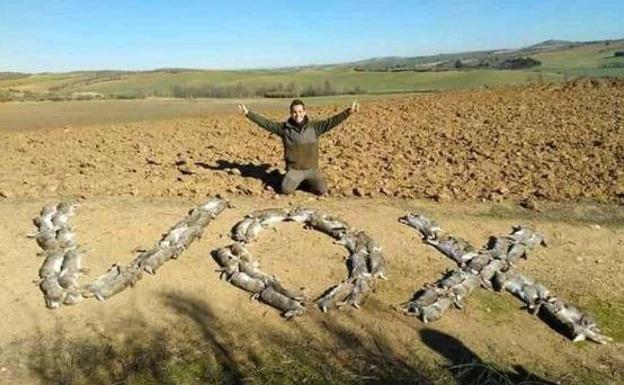 Indignación en Twitter con un cazador que formó la palabra Vox con conejos muertos