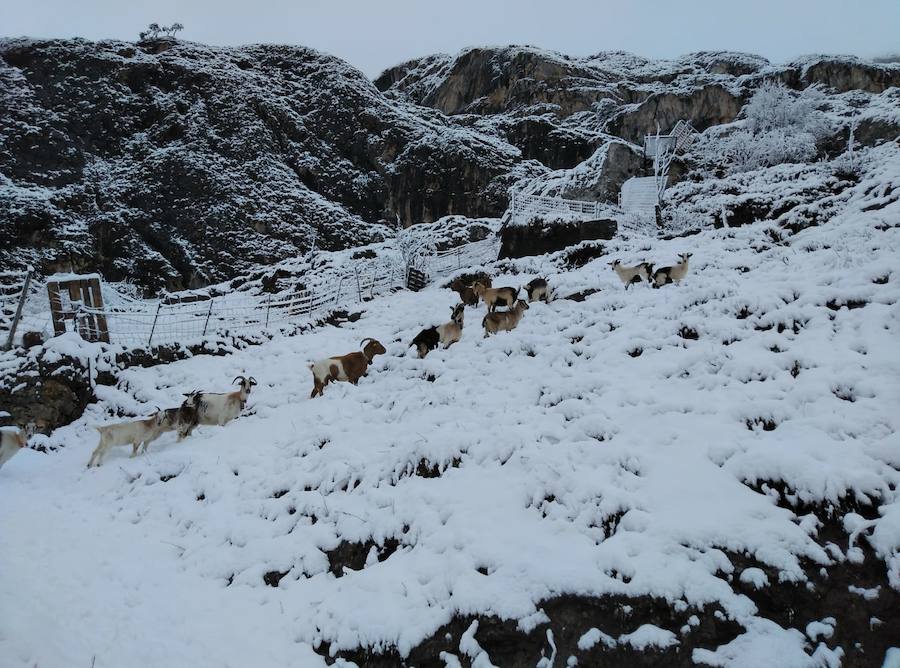 Mucha nieve pero pocos esquiadores en el primer día de temporada de esquí en las estaciones del Principado, en Valgrande-Pajares y en Fuentes de Invierno.