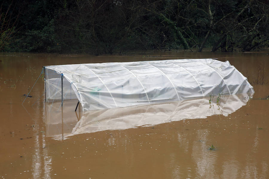 Las fuertes lluvias provocan el desbordamiento de estos dos ríos