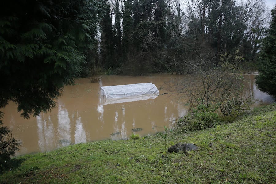 Las fuertes lluvias provocan el desbordamiento de estos dos ríos